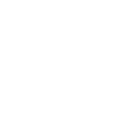 lupa-icon