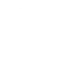 proteccion-directivos-icon