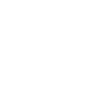 shield-icon