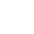 seguro-incapacidad-icon